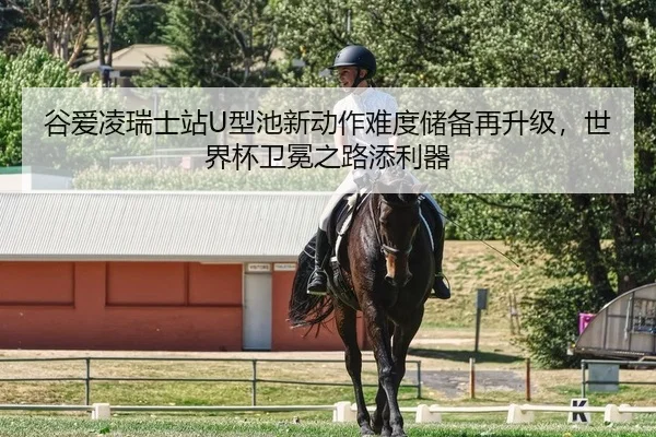 gu-ai-ling-rui-shi-zhan-xing-chi-xin-dong-zuo-nan-du-chu-bei-zai-sheng-ji-shi-jie-bei-wei-mian-zhi-lu-tian-li-qi-2-198.jpg